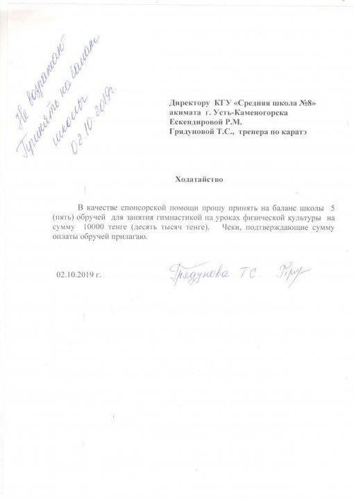 Спонсорская помощь от 02.10.2019 г.