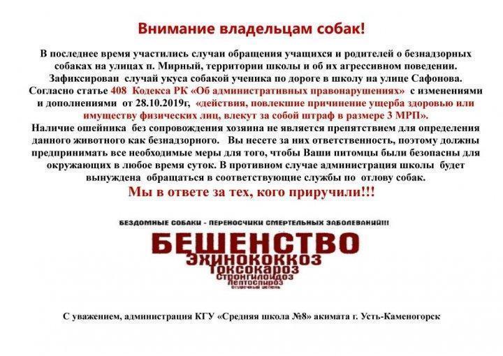 Внимание владельцам собак!
